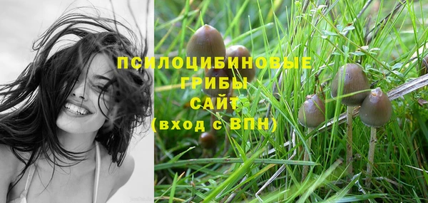 дмт Вязники