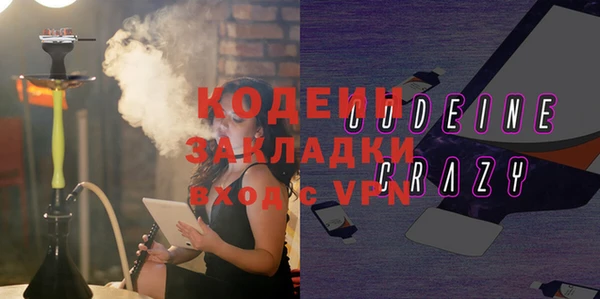 индика Пересвет
